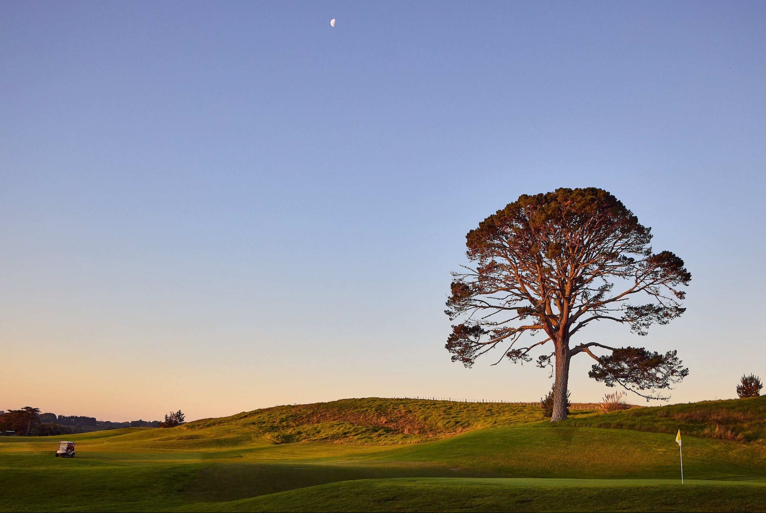 second hand golf clubs new zealand